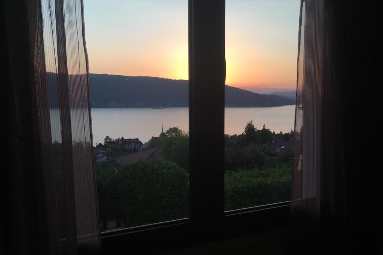 Maisonnette Vue Panoramique Lac D'Annecy Veyrier-du-Lac Kültér fotó
